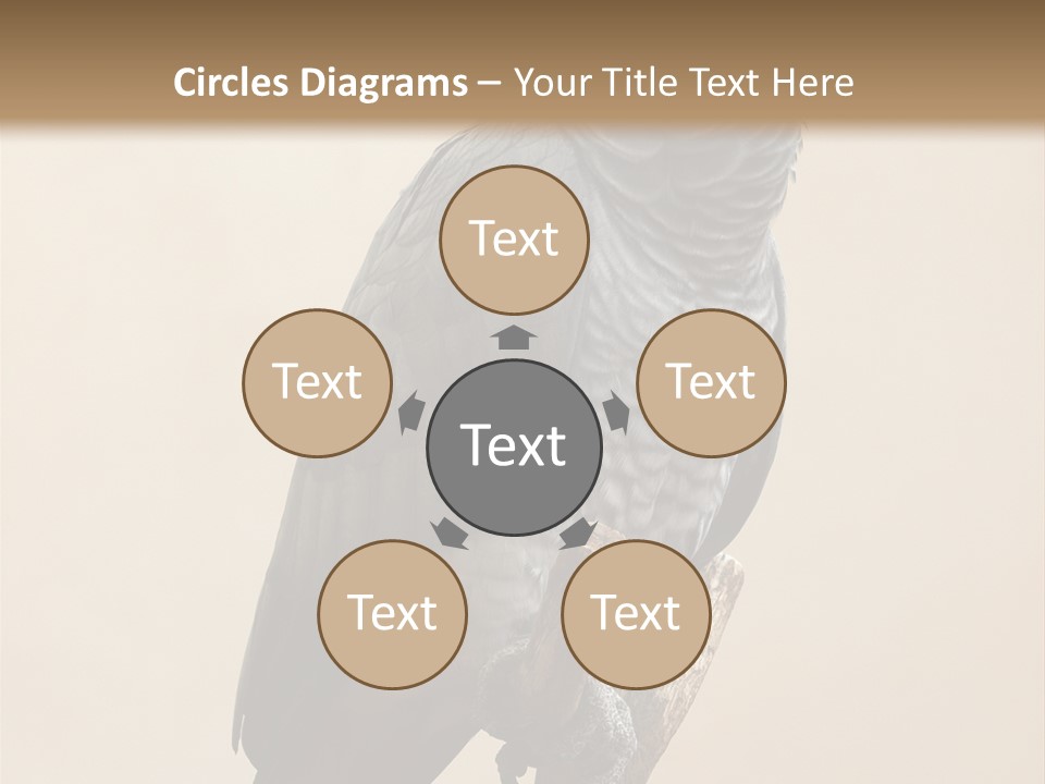Color Alertness Zoo PowerPoint Template