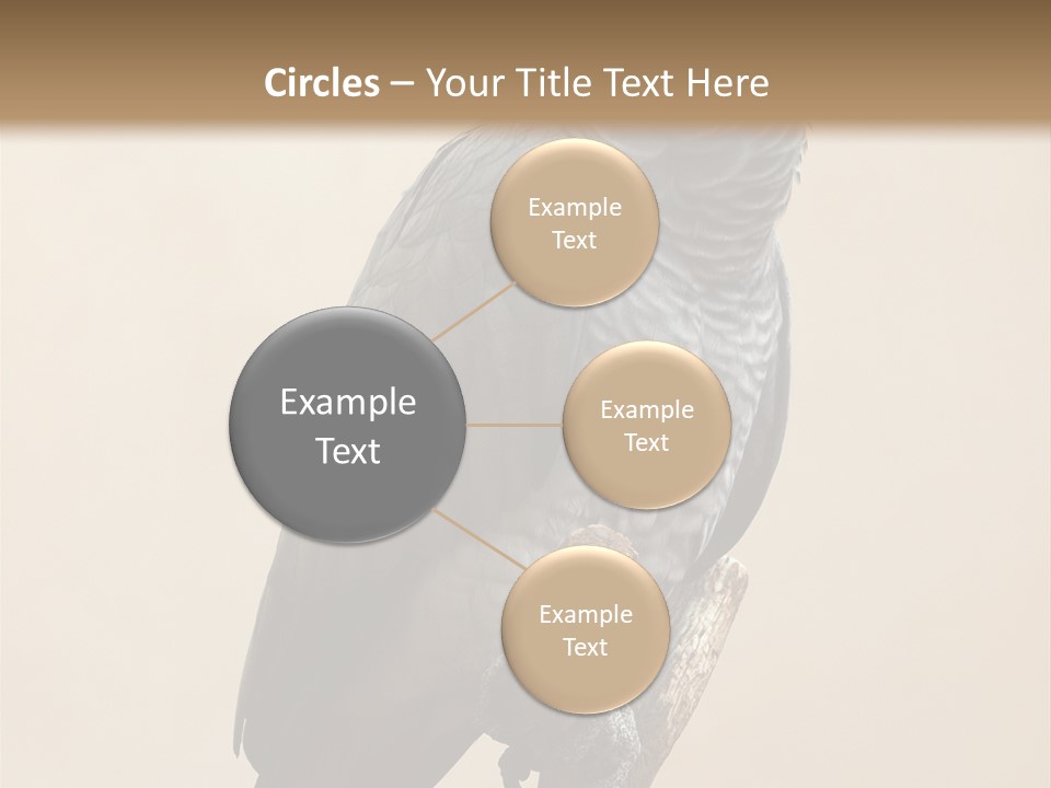 Color Alertness Zoo PowerPoint Template