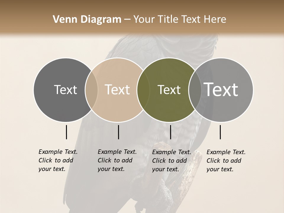 Color Alertness Zoo PowerPoint Template