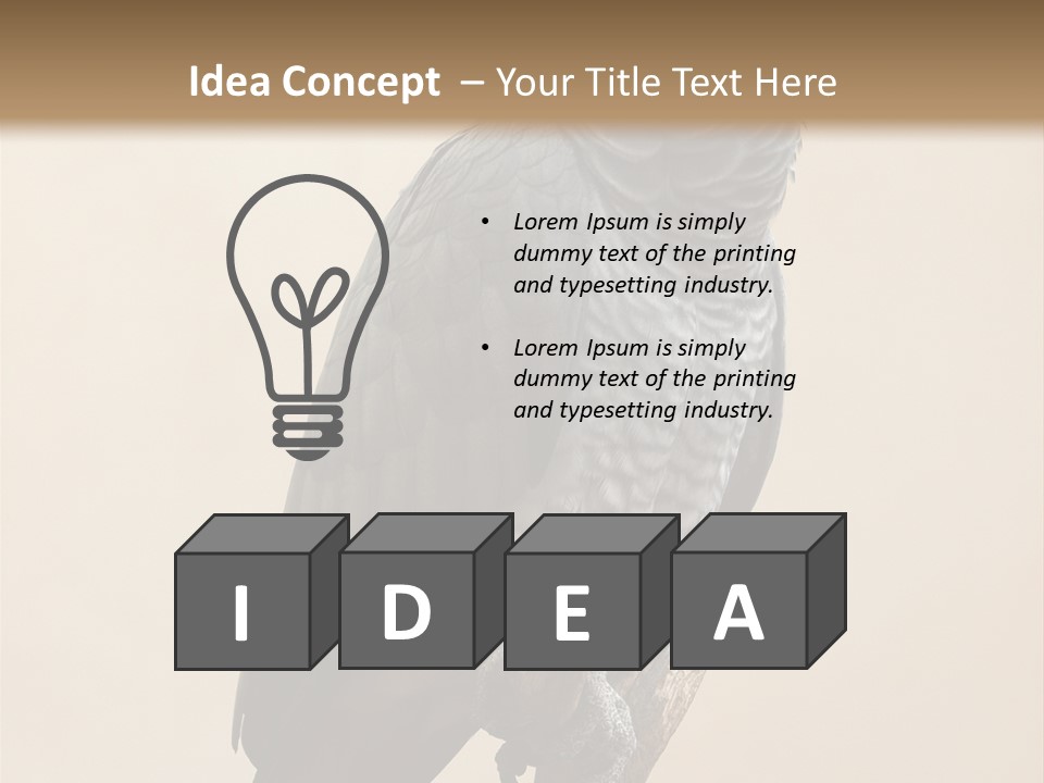 Color Alertness Zoo PowerPoint Template