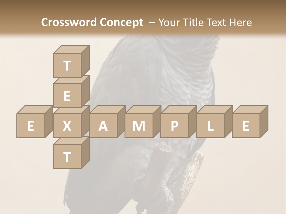 Color Alertness Zoo PowerPoint Template