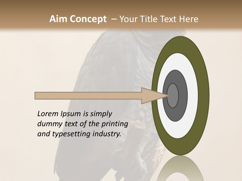 Color Alertness Zoo PowerPoint Template