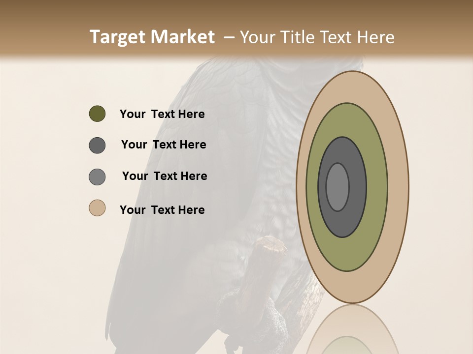 Color Alertness Zoo PowerPoint Template