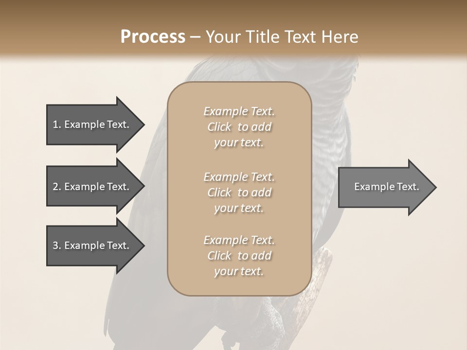 Color Alertness Zoo PowerPoint Template