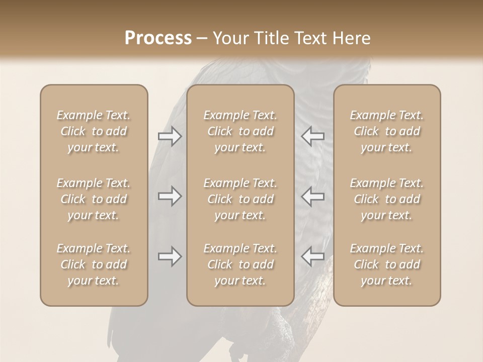 Color Alertness Zoo PowerPoint Template