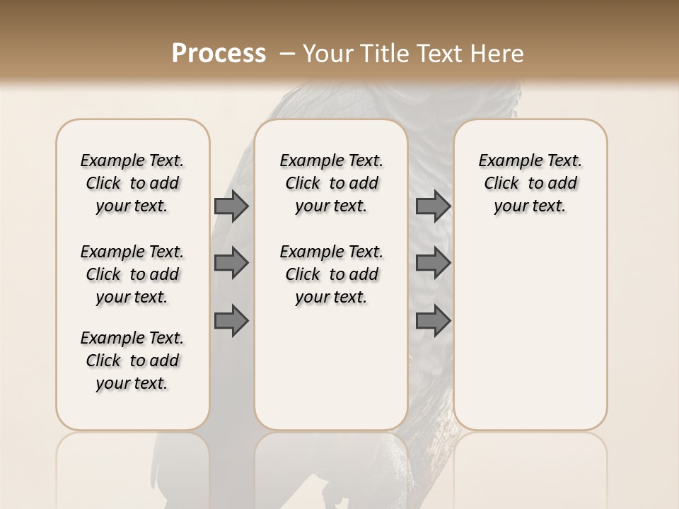 Color Alertness Zoo PowerPoint Template