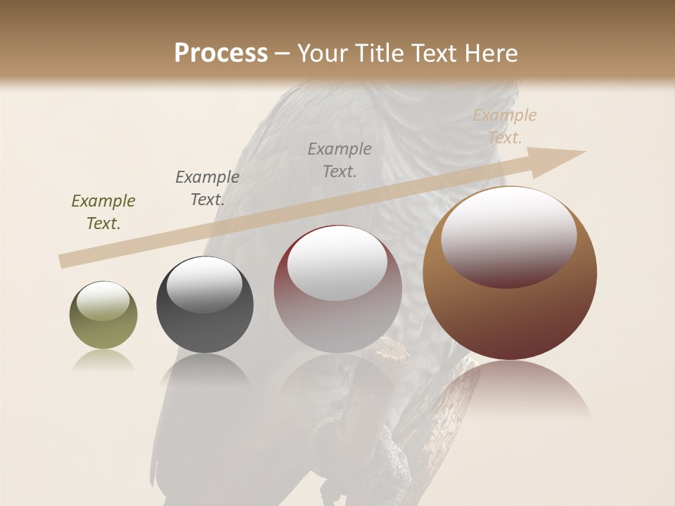 Color Alertness Zoo PowerPoint Template