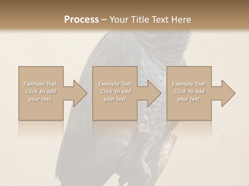 Color Alertness Zoo PowerPoint Template