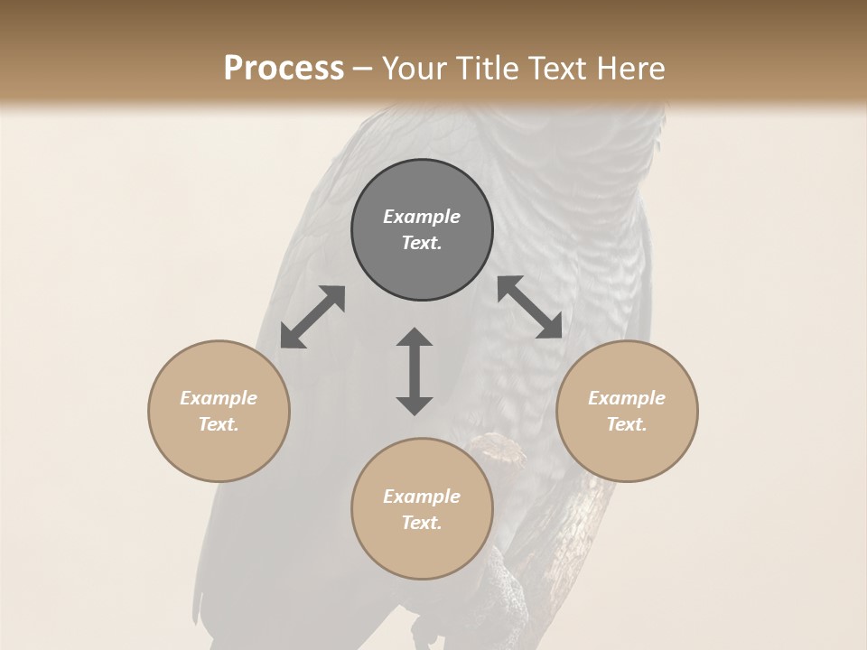 Color Alertness Zoo PowerPoint Template