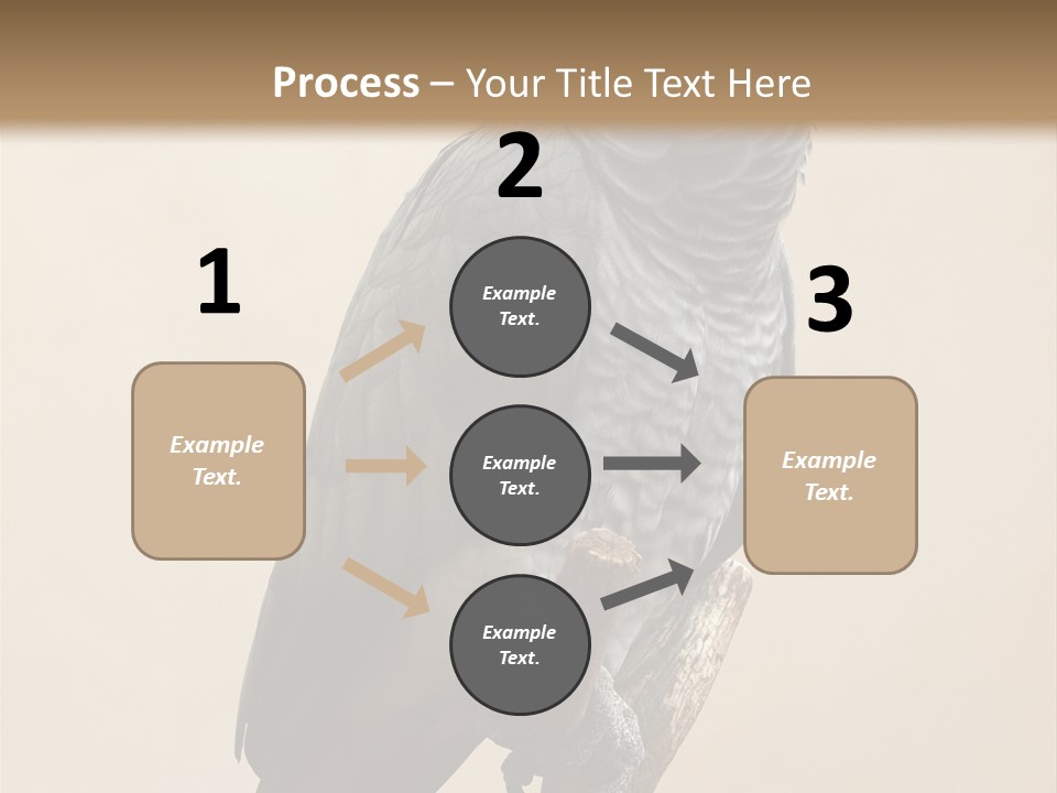 Color Alertness Zoo PowerPoint Template