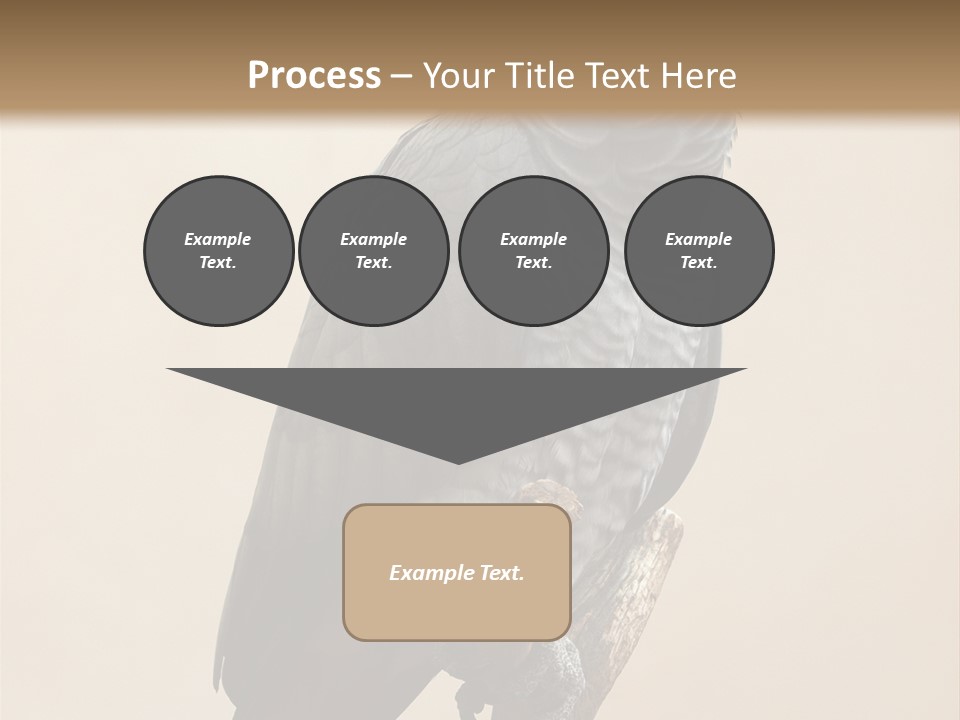 Color Alertness Zoo PowerPoint Template