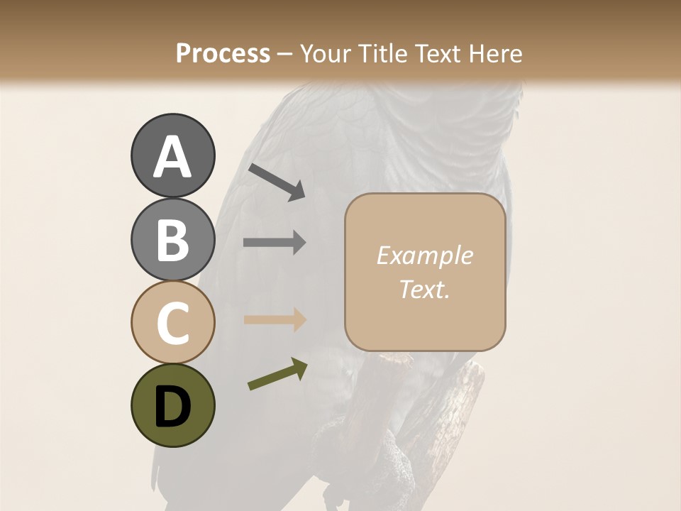 Color Alertness Zoo PowerPoint Template