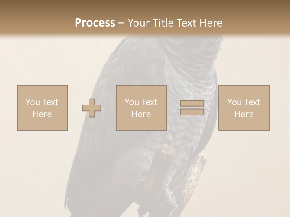Color Alertness Zoo PowerPoint Template