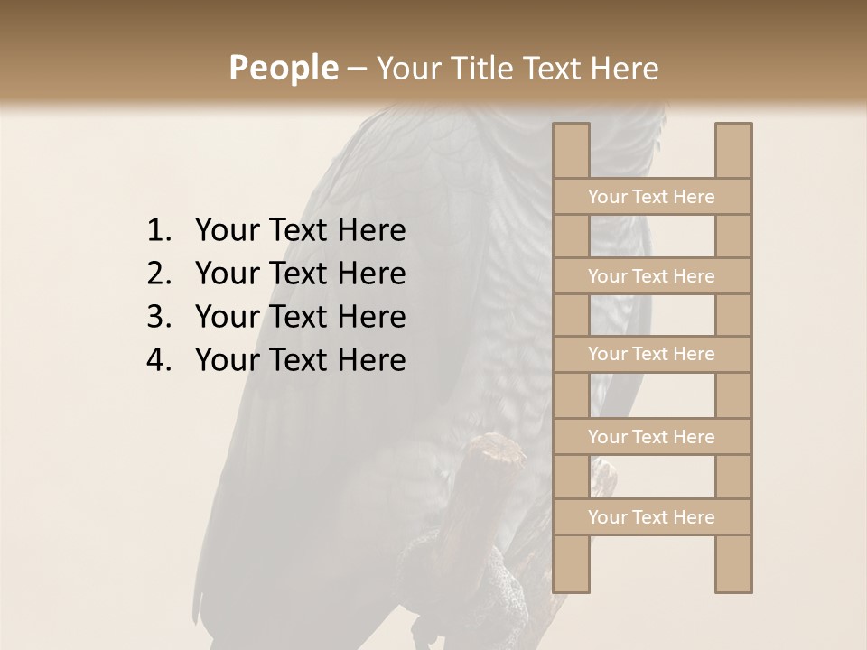 Color Alertness Zoo PowerPoint Template