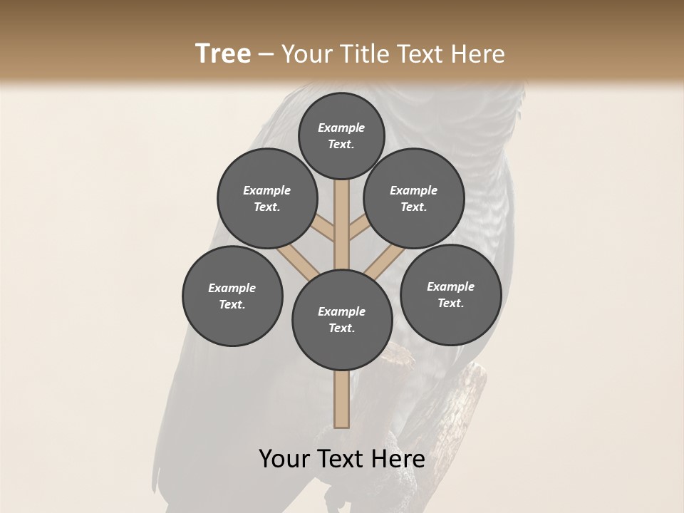 Color Alertness Zoo PowerPoint Template
