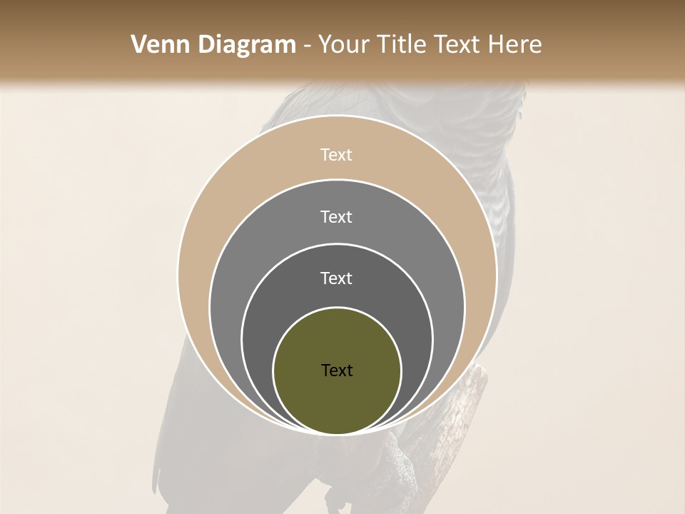 Color Alertness Zoo PowerPoint Template