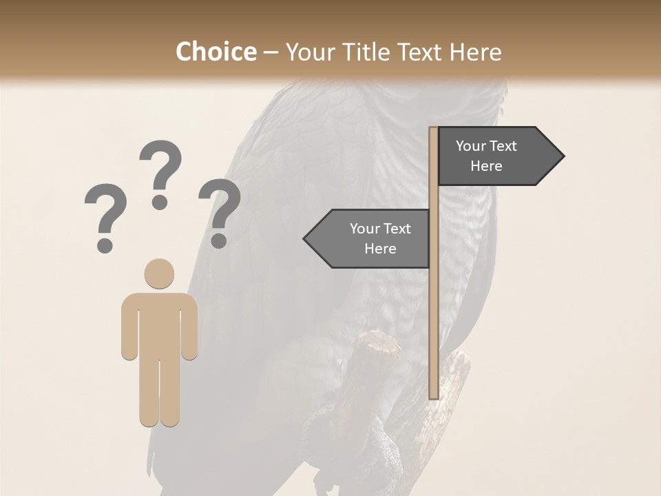 Color Alertness Zoo PowerPoint Template