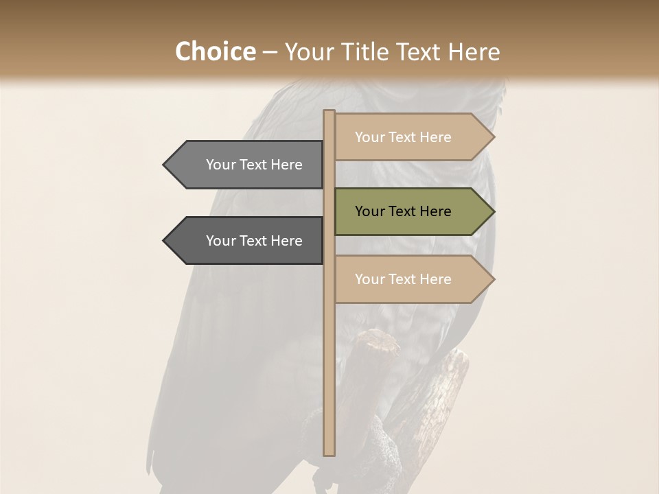 Color Alertness Zoo PowerPoint Template