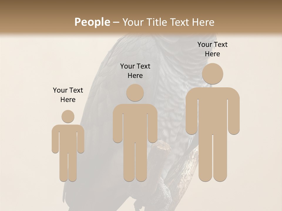 Color Alertness Zoo PowerPoint Template