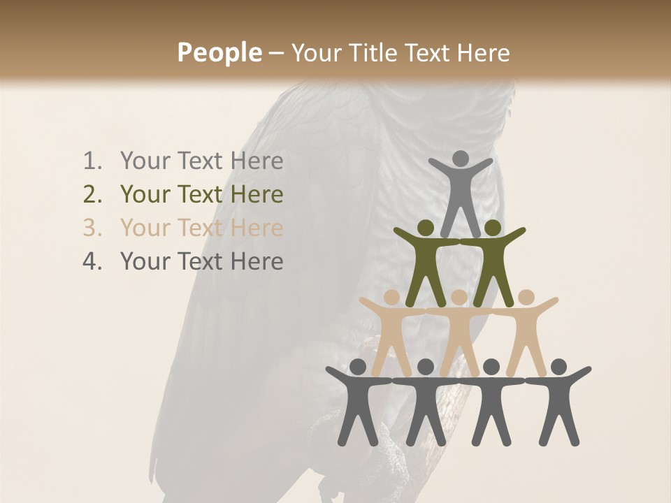 Color Alertness Zoo PowerPoint Template