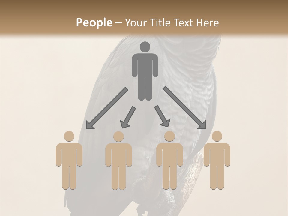 Color Alertness Zoo PowerPoint Template