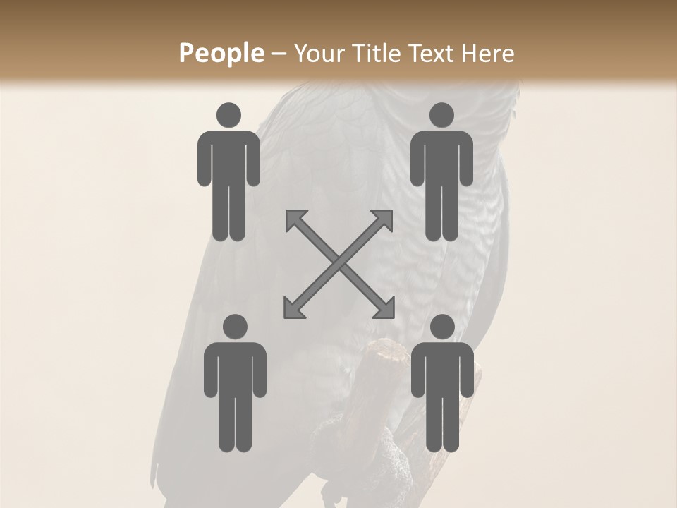 Color Alertness Zoo PowerPoint Template