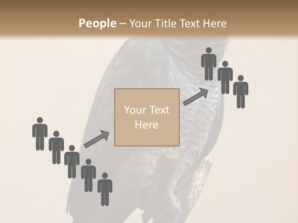 Color Alertness Zoo PowerPoint Template
