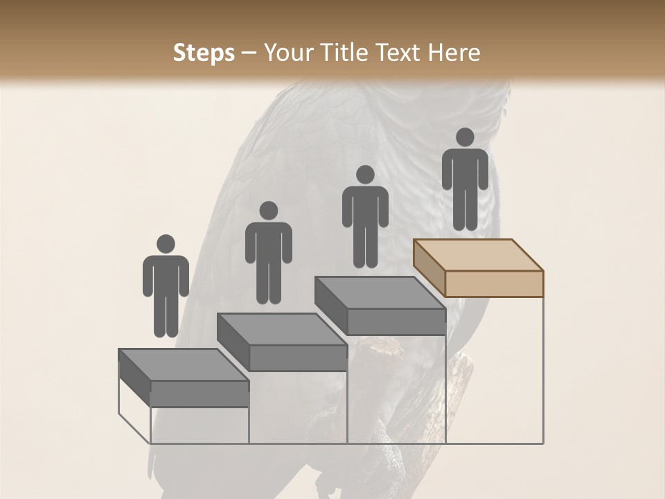 Color Alertness Zoo PowerPoint Template