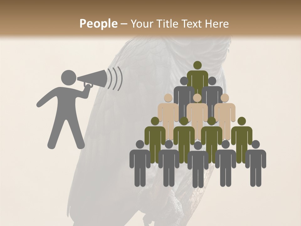 Color Alertness Zoo PowerPoint Template