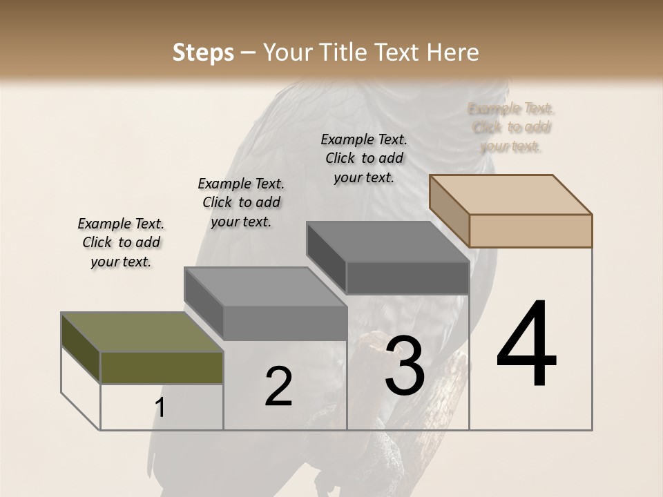 Color Alertness Zoo PowerPoint Template
