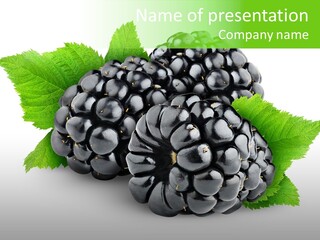 Group Blackberry Studio Shot PowerPoint Template