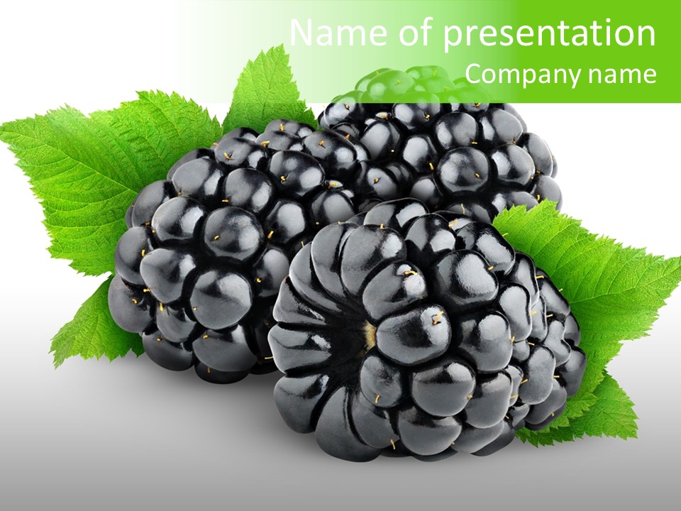 Group Blackberry Studio Shot PowerPoint Template