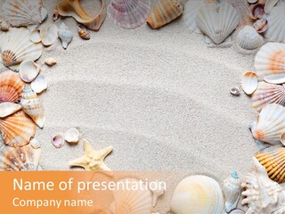 Seashell Summer Dry PowerPoint Template