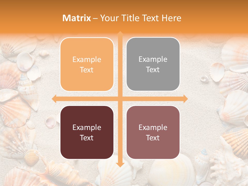 Seashell Summer Dry PowerPoint Template