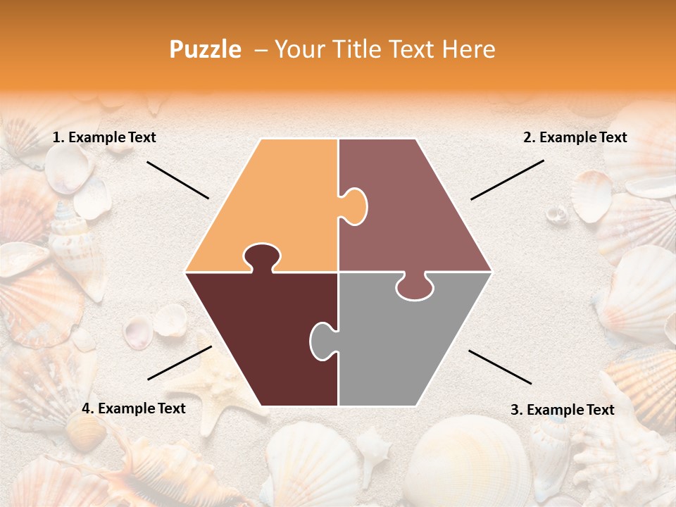 Seashell Summer Dry PowerPoint Template