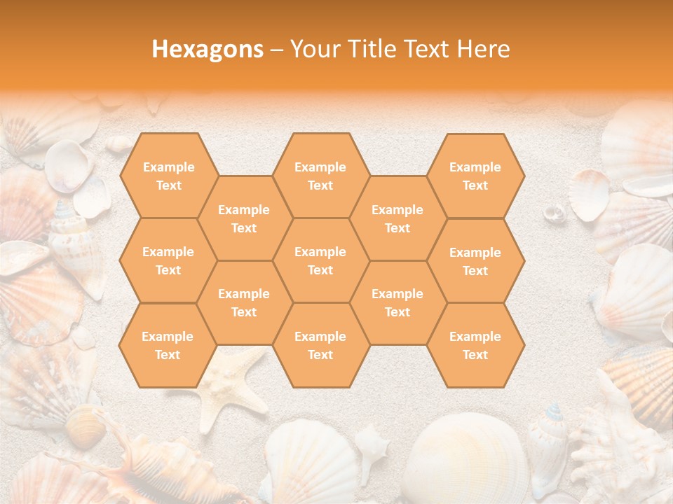Seashell Summer Dry PowerPoint Template