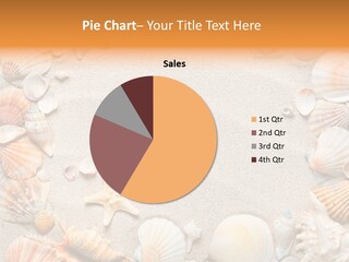 Seashell Summer Dry PowerPoint Template