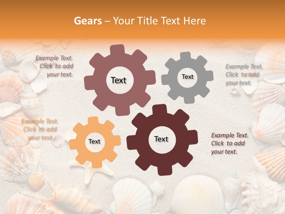 Seashell Summer Dry PowerPoint Template
