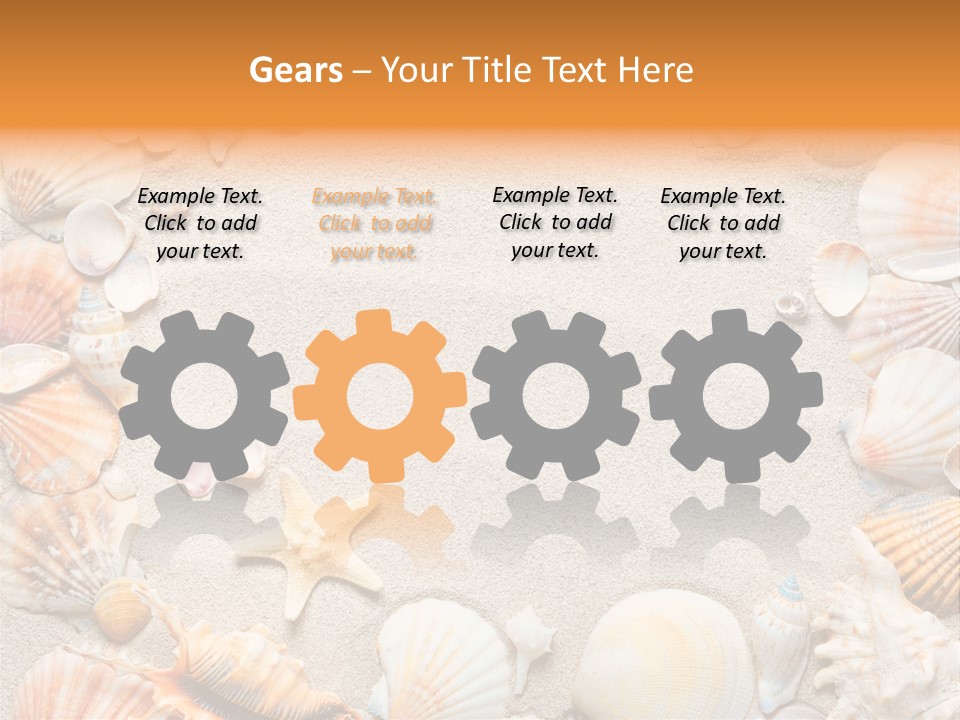 Seashell Summer Dry PowerPoint Template