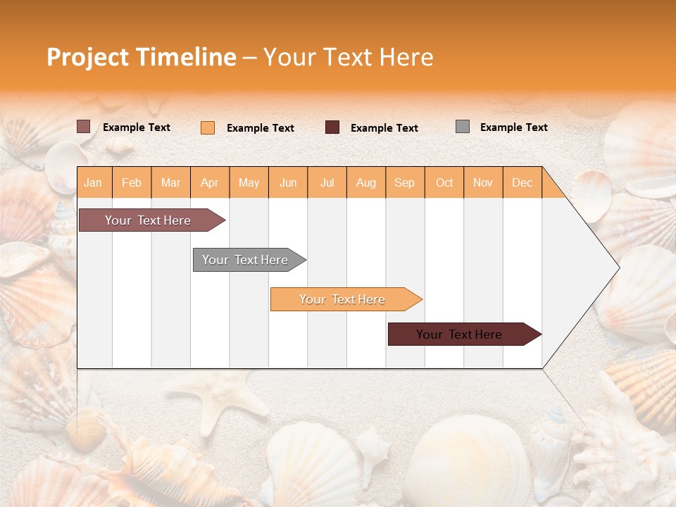 Seashell Summer Dry PowerPoint Template