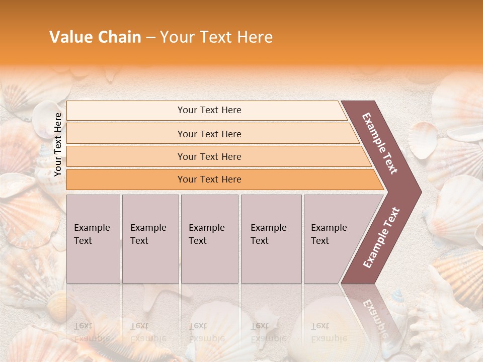 Seashell Summer Dry PowerPoint Template