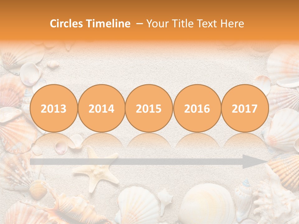 Seashell Summer Dry PowerPoint Template