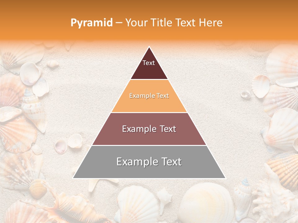 Seashell Summer Dry PowerPoint Template