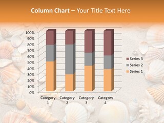 Seashell Summer Dry PowerPoint Template