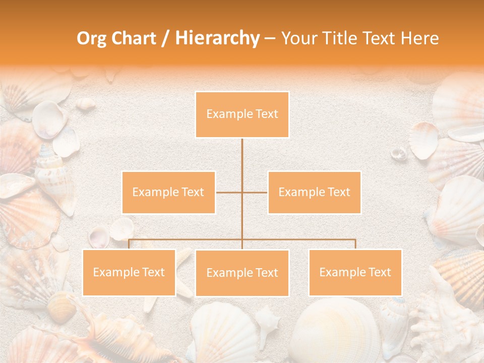 Seashell Summer Dry PowerPoint Template