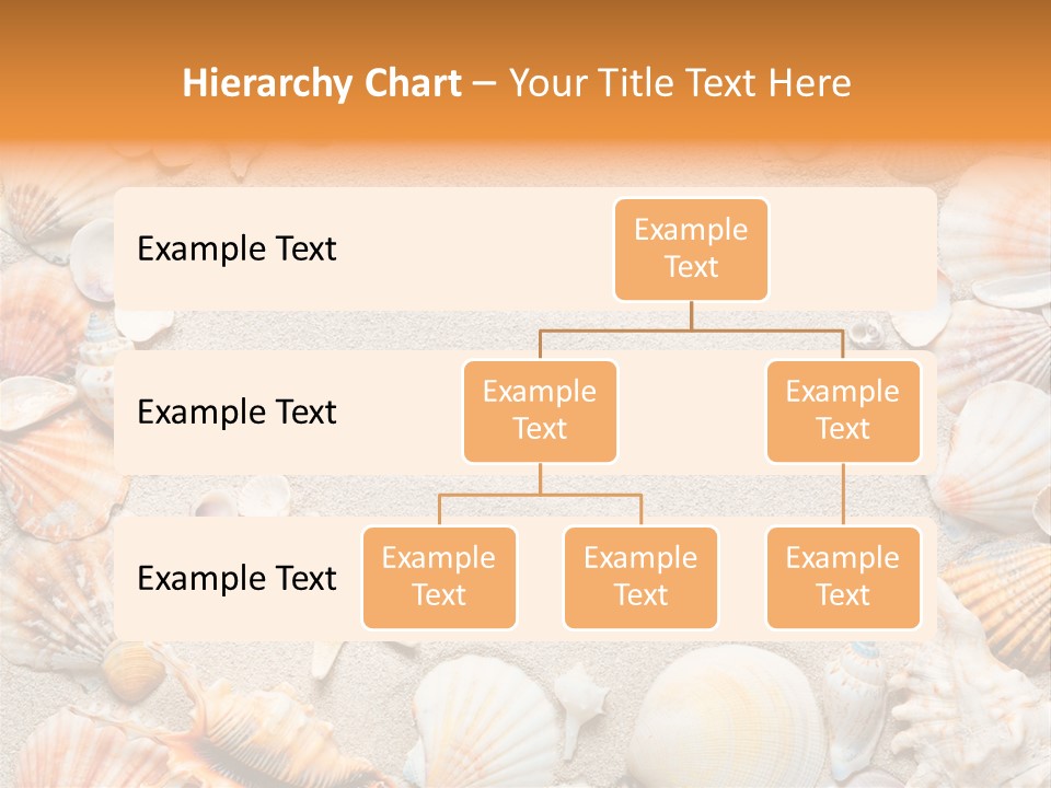 Seashell Summer Dry PowerPoint Template