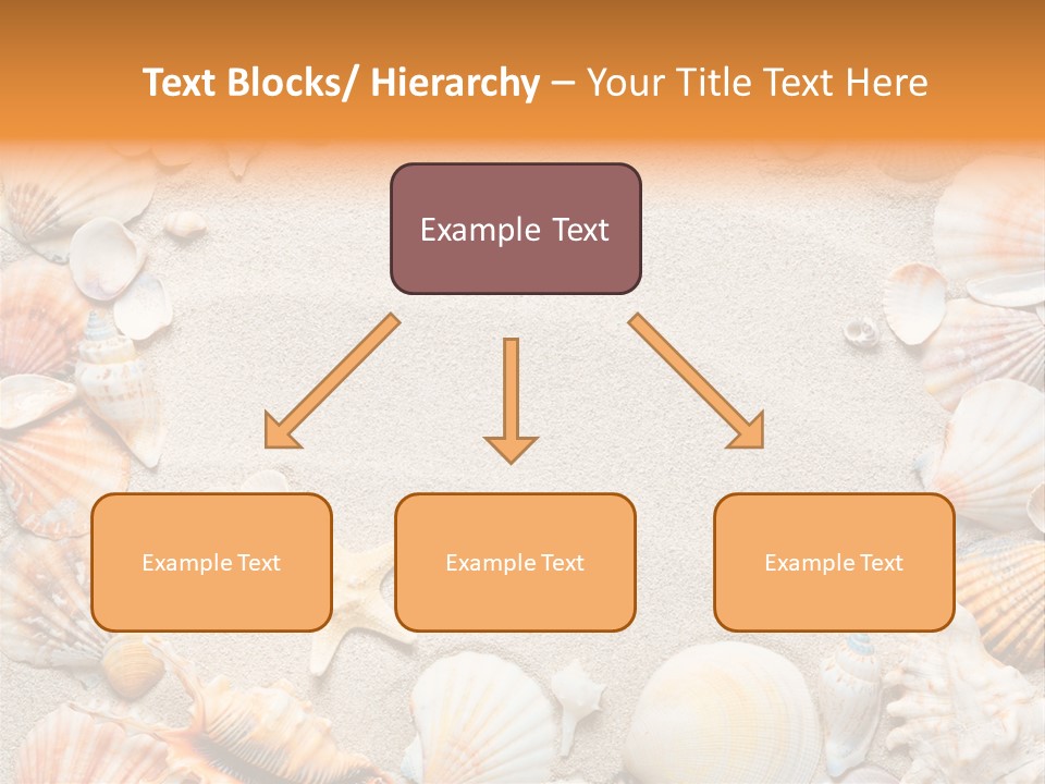 Seashell Summer Dry PowerPoint Template