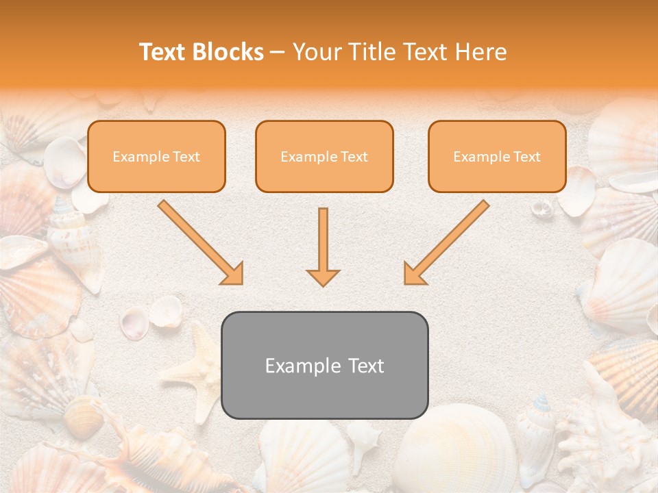 Seashell Summer Dry PowerPoint Template