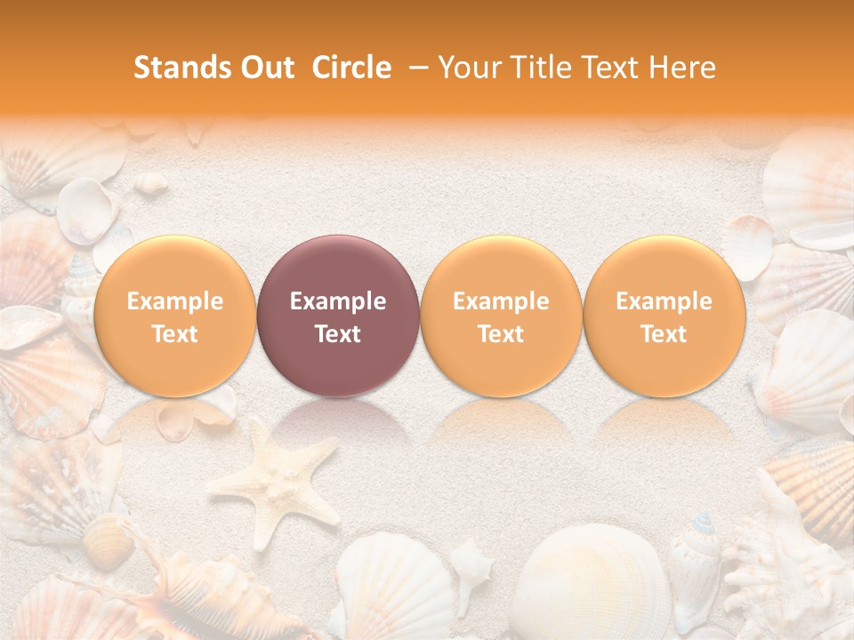Seashell Summer Dry PowerPoint Template