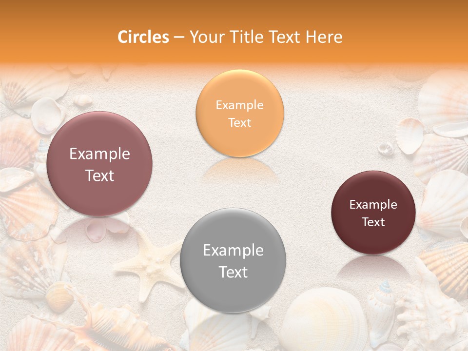 Seashell Summer Dry PowerPoint Template